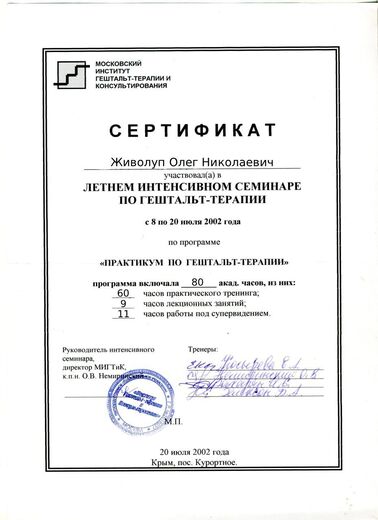Сертификат 2